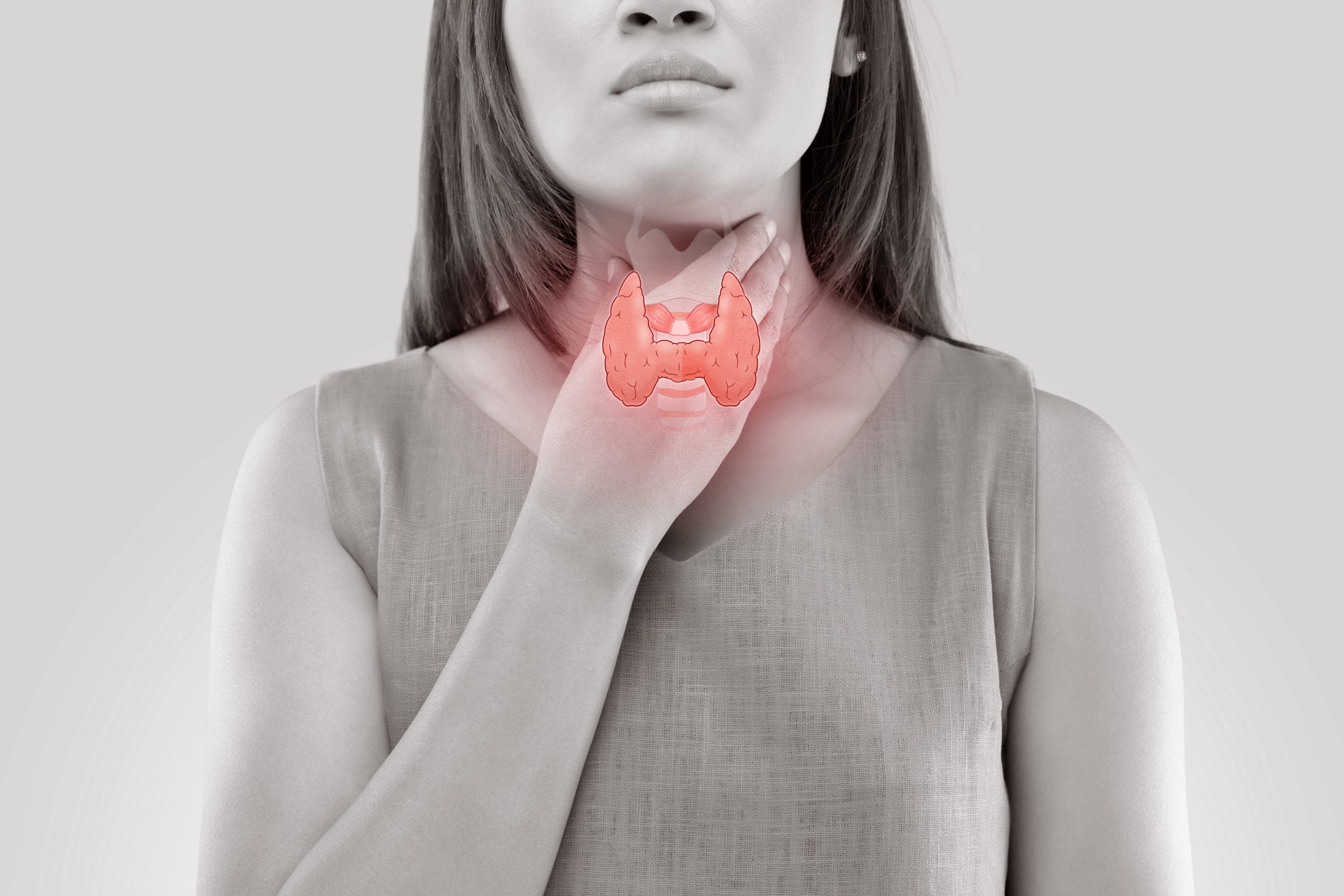 naturopathe thyroide naturopathe thyroide