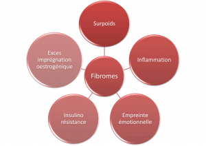 aproche naturelle des fibromes