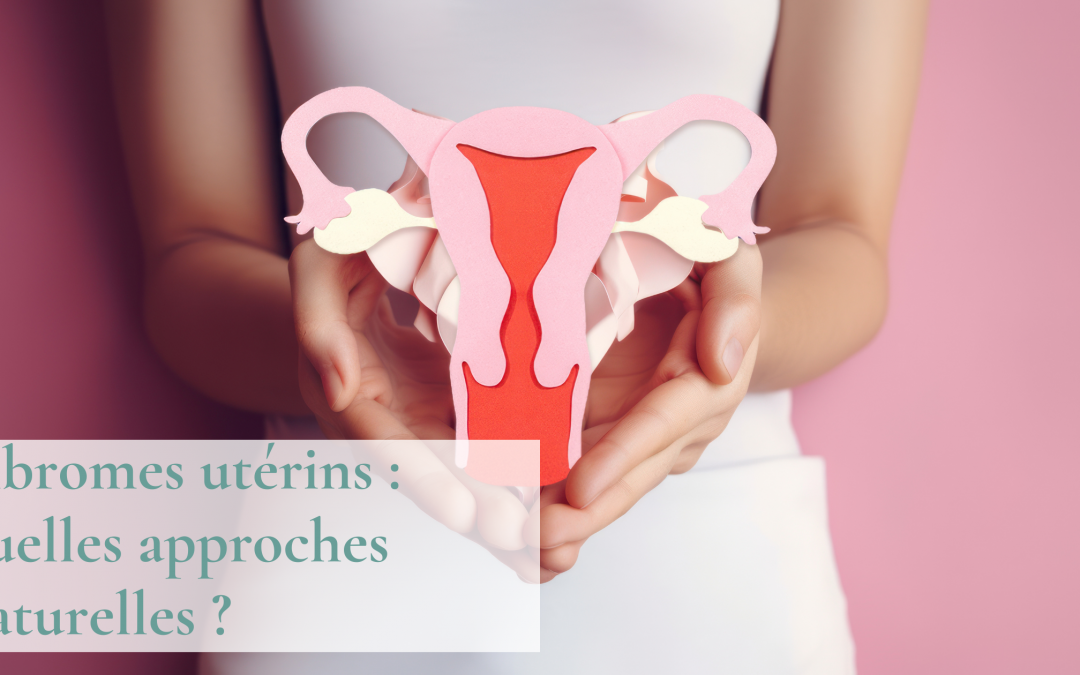 Fibromes utérins : quelles approches naturelles ?