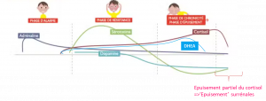 hormones du stress et burn out